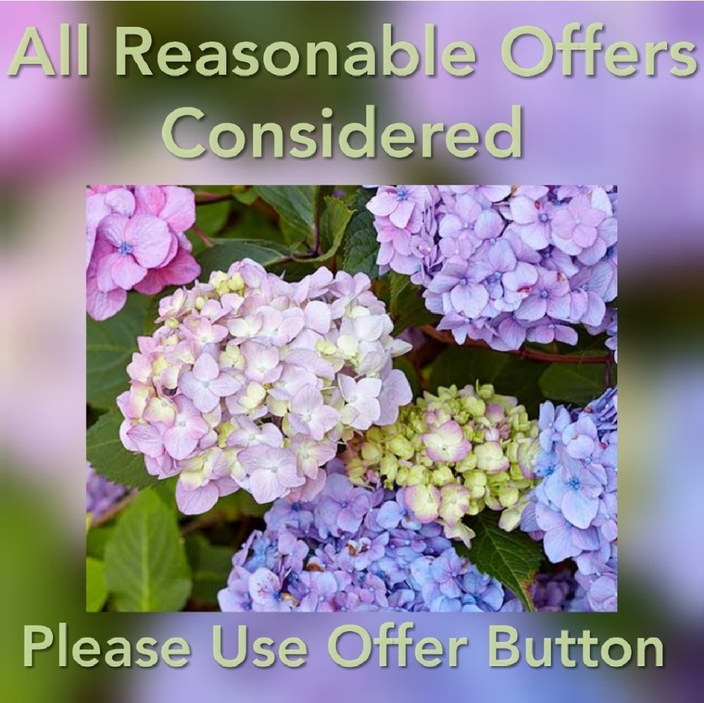 💕Accepting offers!💕